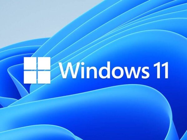 Windows-11 logo